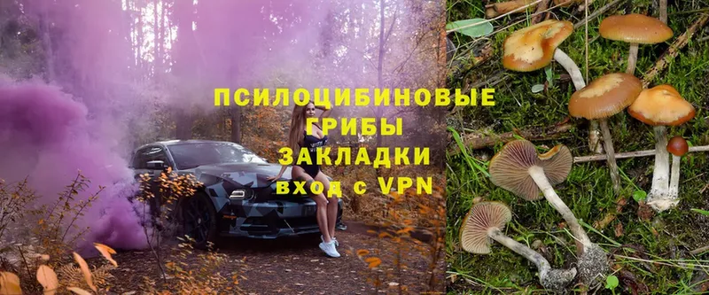 Псилоцибиновые грибы Magic Shrooms  наркотики  Шумерля 